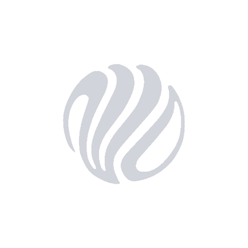 onfuture-logo-min