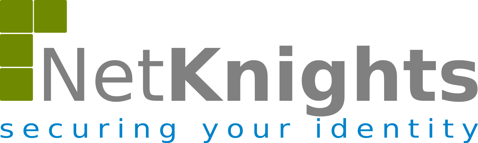 netknights logo